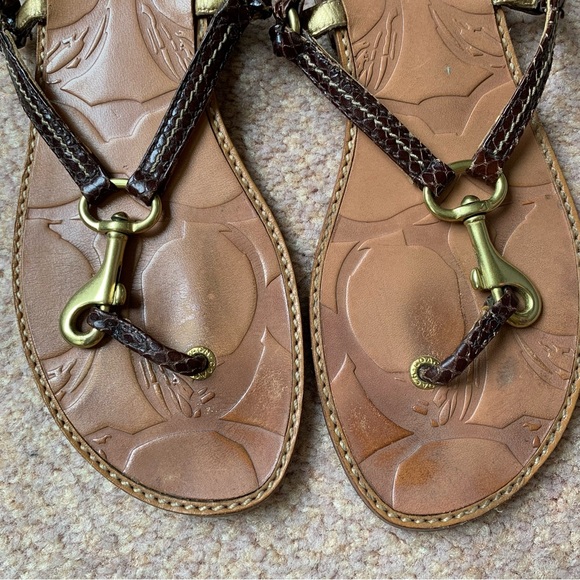 COACH Python Leather Brown and Gold Lobster Claw Thong Flat Sandal Size 5 1/2 - Picture 2 of 9